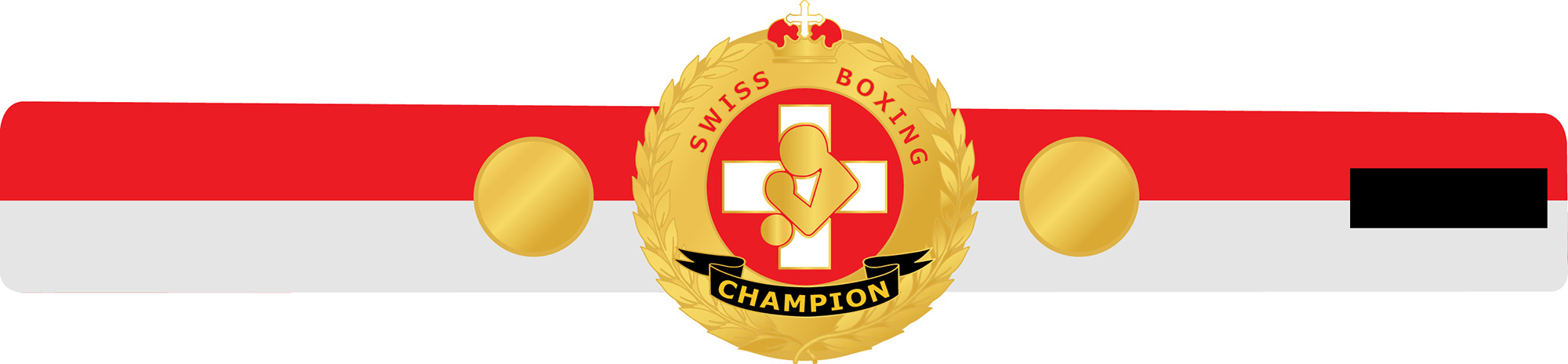 Swiss Boxing Champion Gürtel